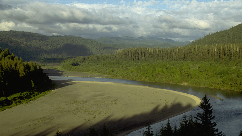 Humboldt Redwoods State Park eel river