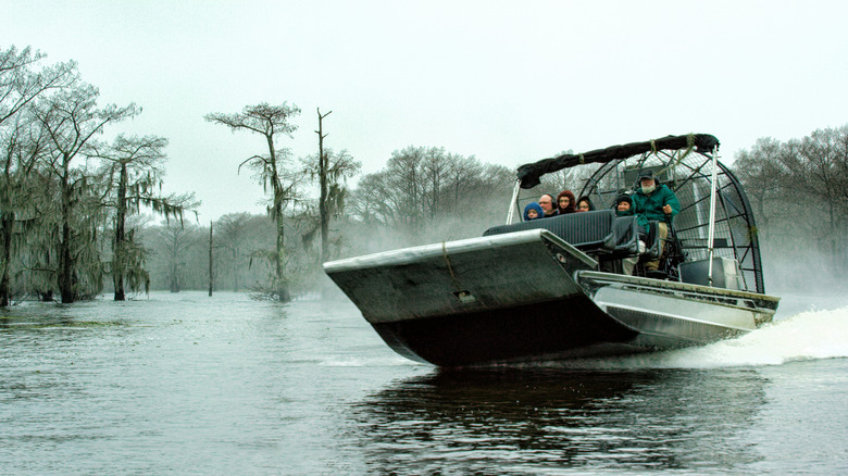 An airboat glides through Atchafalaya Basin.