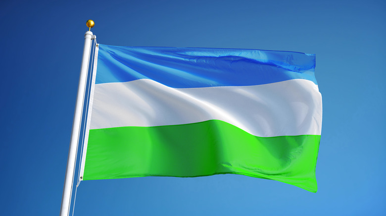 Flag of Molossia