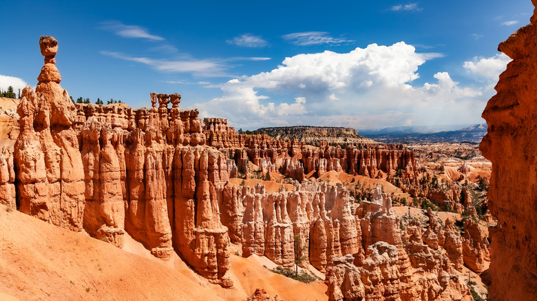 Hoodoos in Bryce Canyon National Park