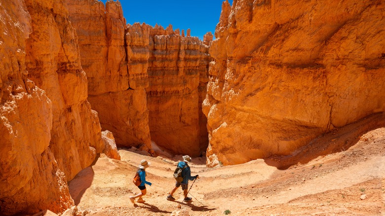 Hikers in Wall Street in Bryce Canyon