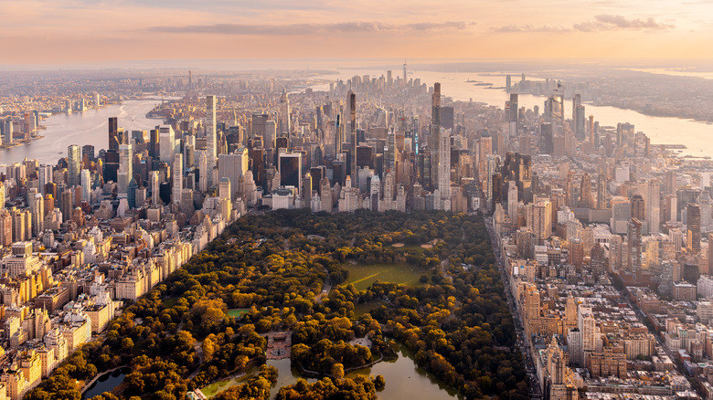 New York City's Central Park