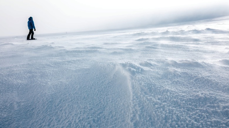 Sea ice in Utqiaġvik