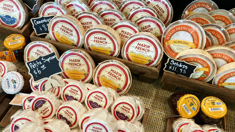 Cheese counter at Marin French Cheese Co.