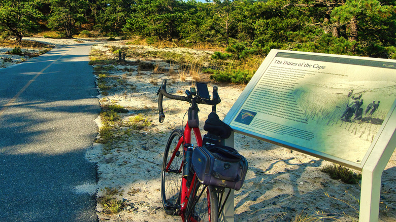 Trail to Provincetown Dunes