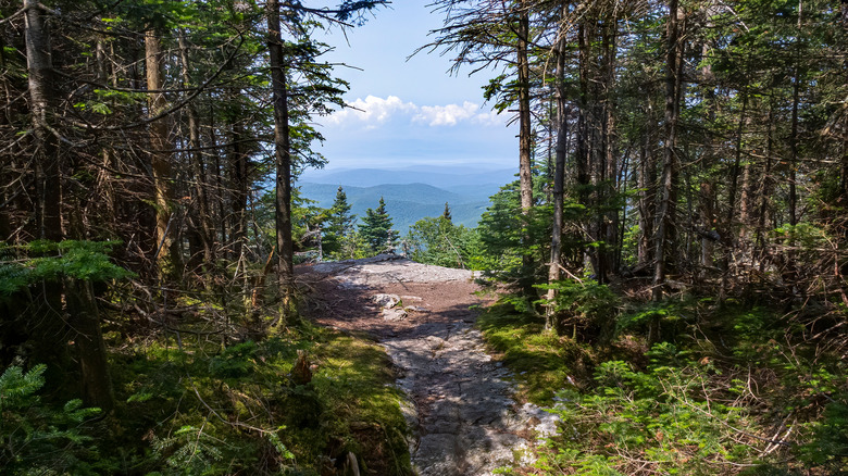 Forest path leading to rocky outlook over green mountains in Vermont