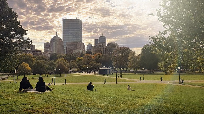 Boston Common and skyscrapers