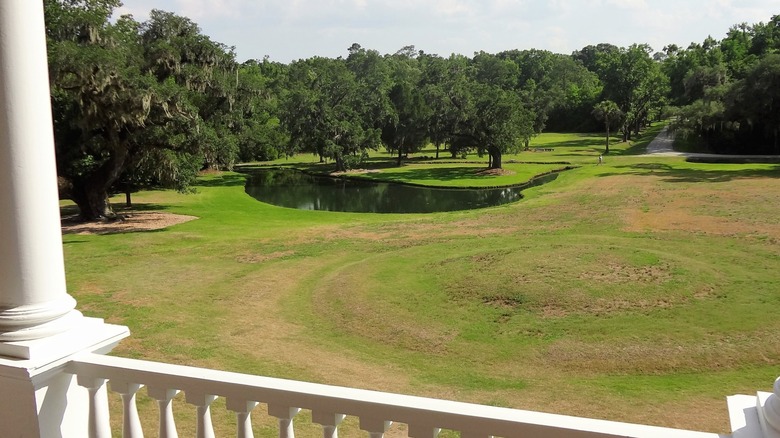 a view of the lawn and oaks from Draton Hall's veranda