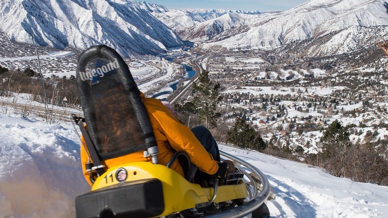 The Alpine Coaster