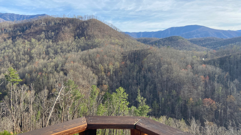 railing edge with bare tree branches on top of nearby mountains at Anakeesta Adventure Park in Gatlinburg, Tennessee