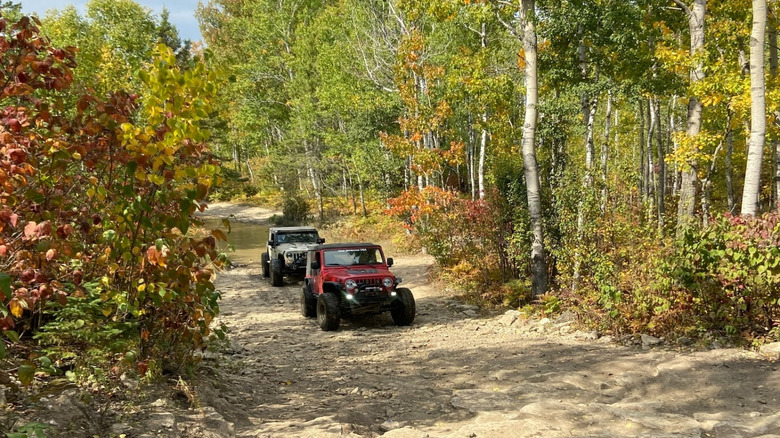 Two Jeeps driving off-road trails on Drummond Island, MI