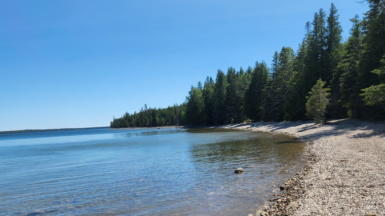 A pebble beach lined with forest on Drummond Island, Michigan