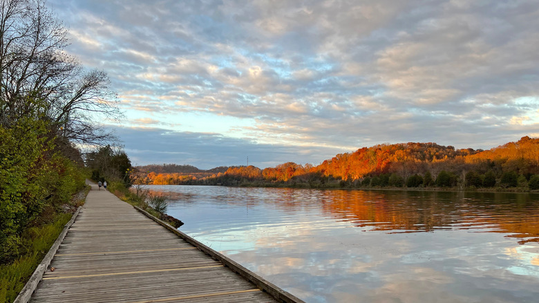 The boardwalk at Melton Lake with orange trees in the background