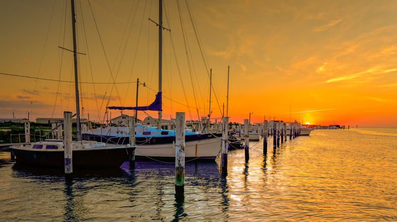 Boats at Tangier Island