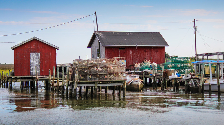 Crab shanty Tangier Island