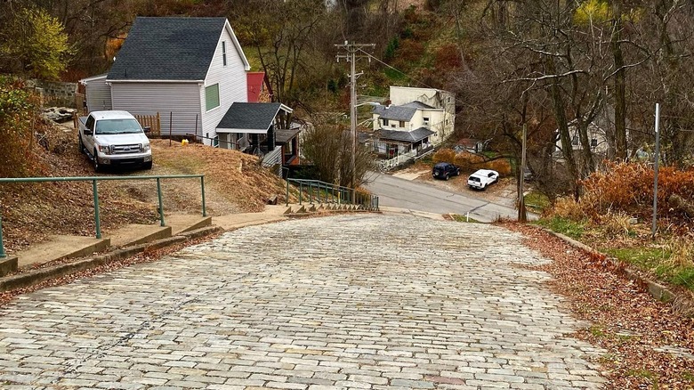 Looking down at steep cobblestone street of Canton Avenue