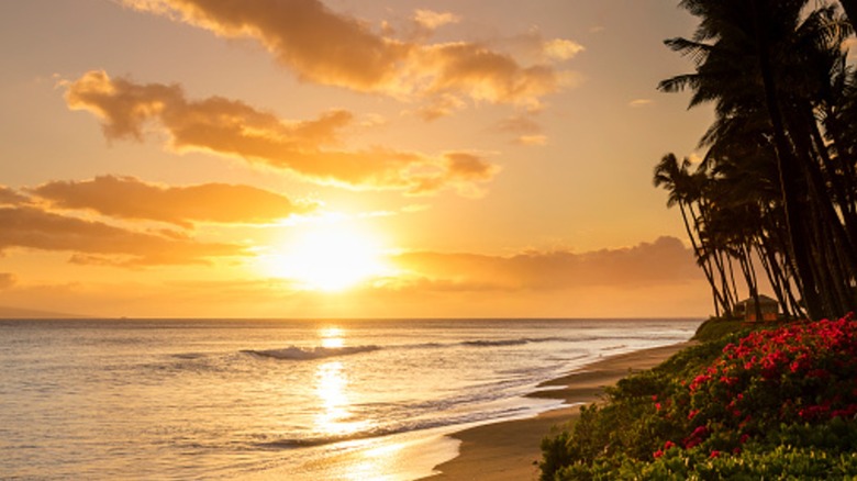 Sunset over Kaanapali beach with palm trees and flowers