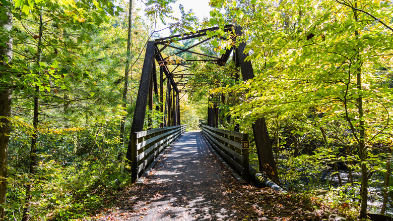 bridge as part of Virginia Creeper Trail near Damascus