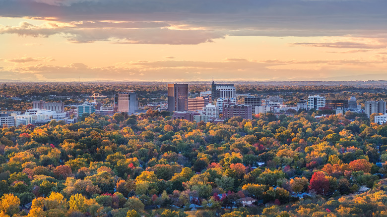 Boise fall trees sunset view