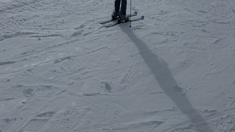 A skiier enjoying fresh powder at Sundance Ski Resort