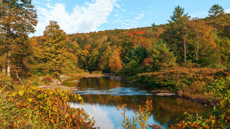 The Mad River in autumn