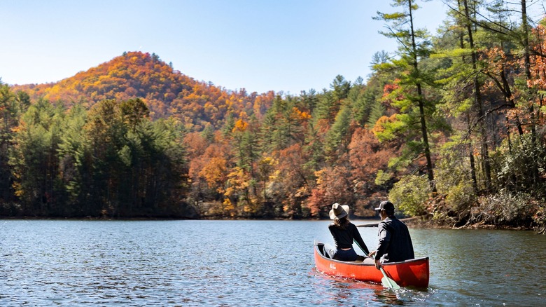 A couple paddling in a kayak