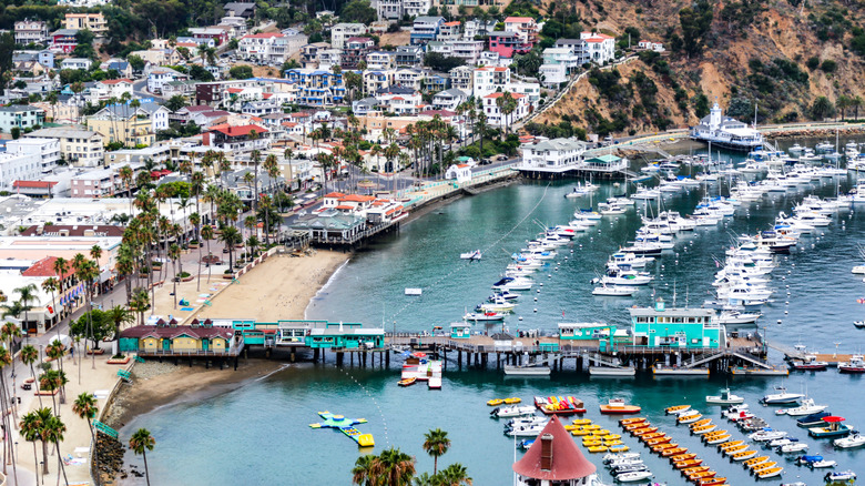 Aerial view of Avalon, Catalina Island