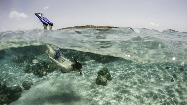 A woman snorkeling