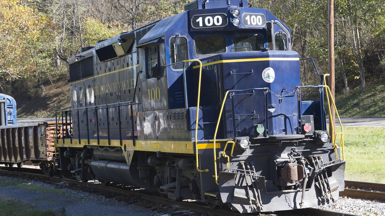 Train on Potomac Scenic Railroad out of Romney, WV