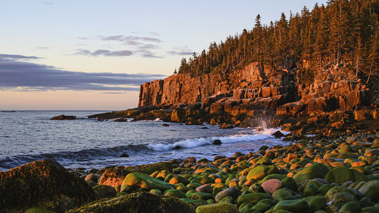 Rocky coast of Acadia National Park with cliffs