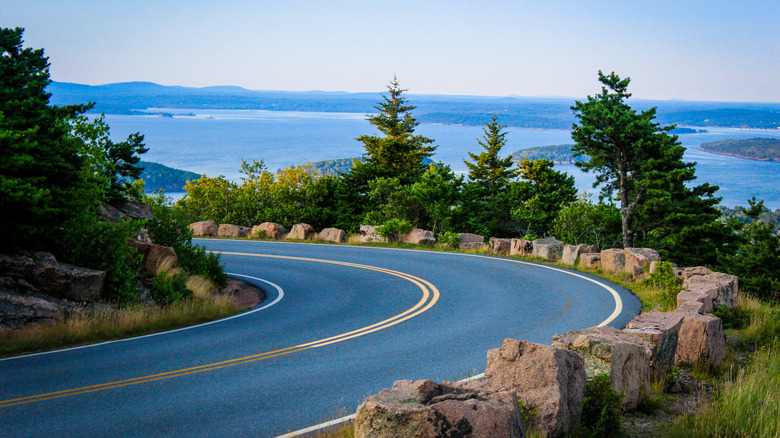 Scenic road winding through Acadia National Park