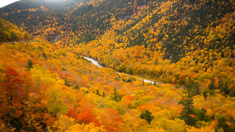 fall views in north conway, New Hampshire