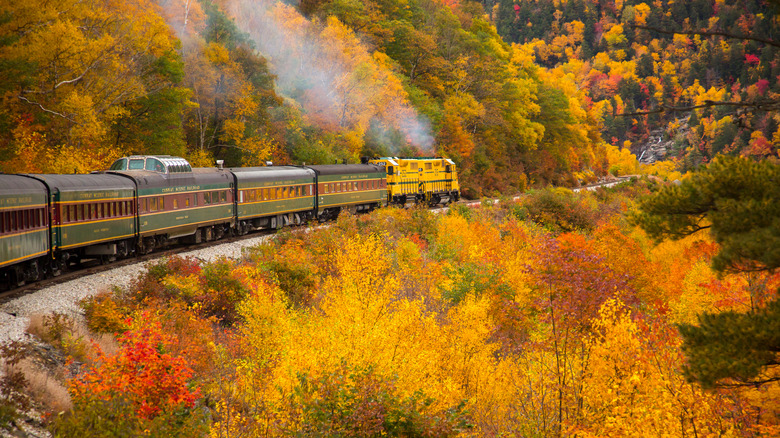 vintage train ride through fall leaves