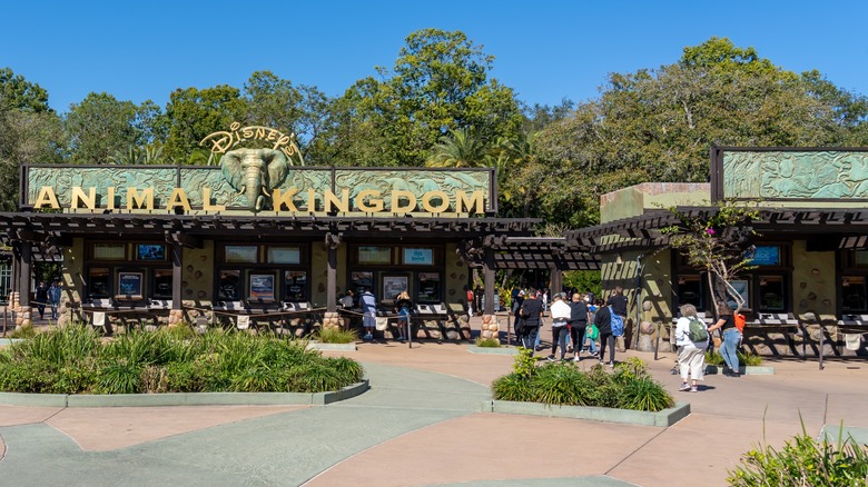 Animal Kingdom entrance