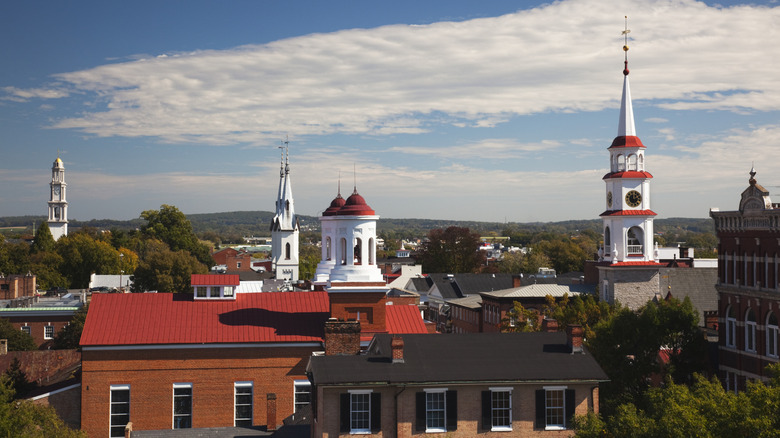 The red, white, and brown roofs of buildings in Frederick, Maryland