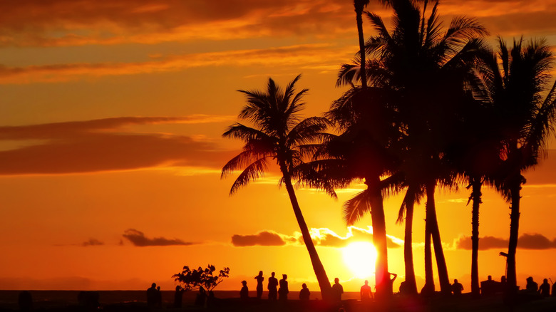 Sunset in Hawaii with people and palm trees in silhouette