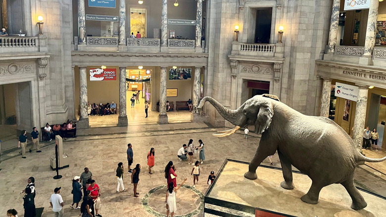 Smithsonian Natural History Museum interior in Washington, D.C.