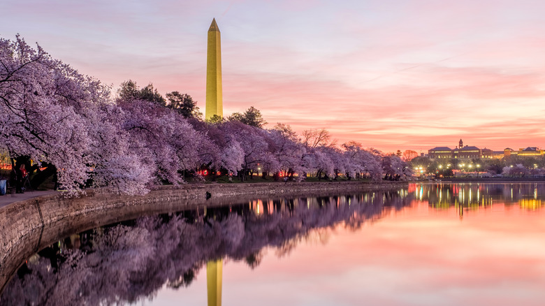 Pink skies over the Tidal Basin and Washington Monument in Washington, D.C.