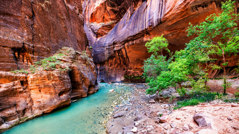 The Narrows at Zion National Park in Utah