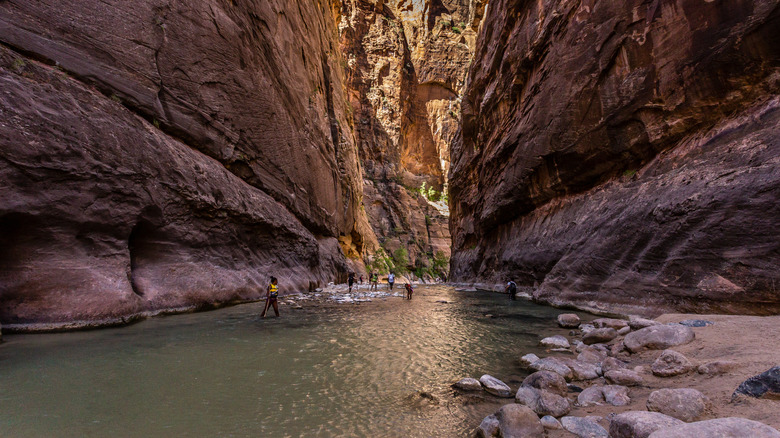 The Narrows with several hikers