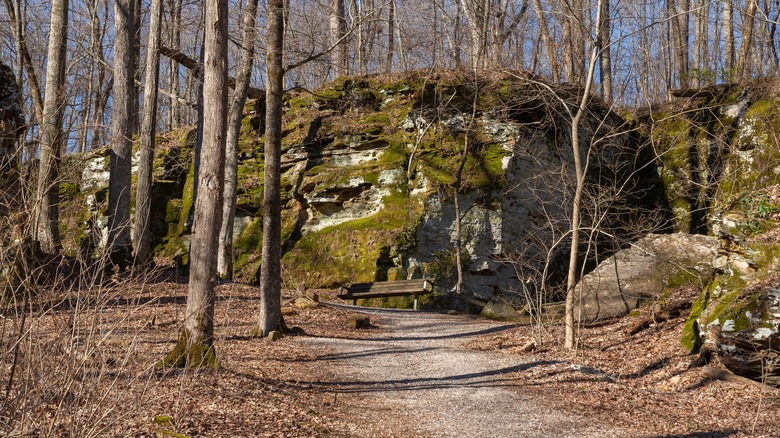 Nature trail at Shawnee National Forest Giant City State Park