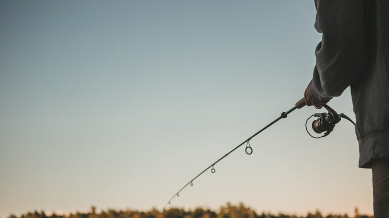 Angler fishes on lake