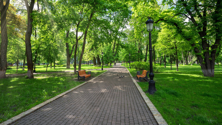 A picturesque park, like what you'd find in Jacksonville, Arkansas