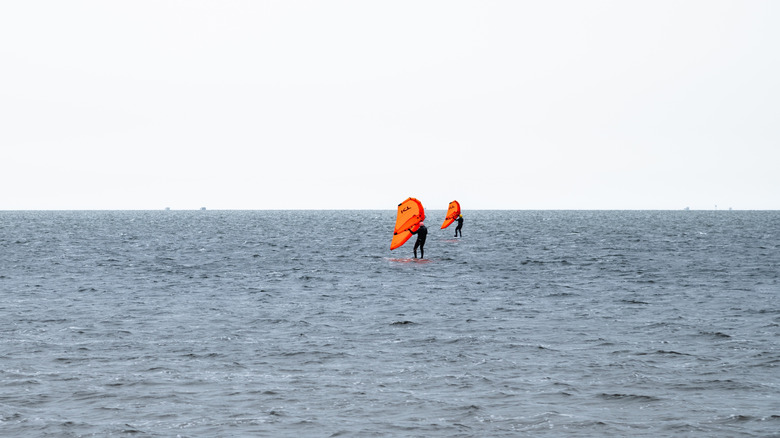 Windsurfers at Pamlico Sound, North Carolina