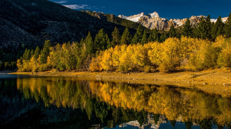 Twin Lakes outside of Bridgeport