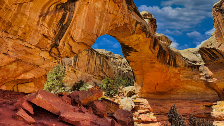 rock formation in capital reef park