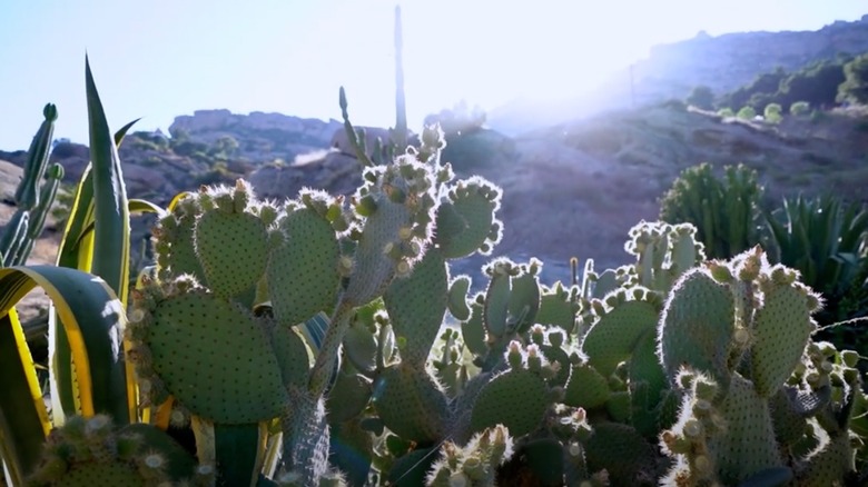 image of Box Canyon from YouTube video