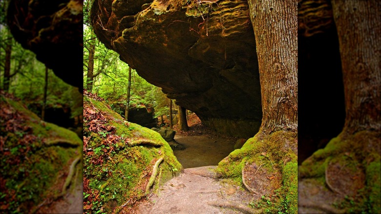 dismals canyon alabama during fall