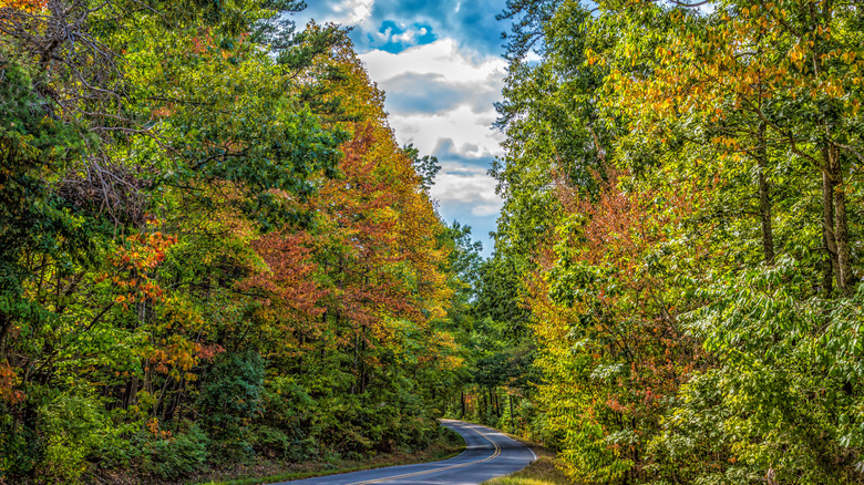 fall foliage in alabama