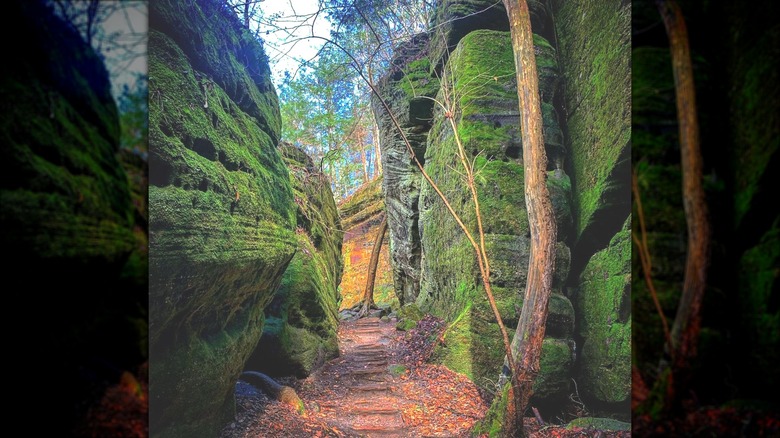 fall colors at dismals canyon